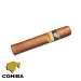 Charuto Cohiba robustos são bernardo do campo