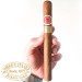 Romeo y Julieta Churchills | Comprar Charuto Cubano em são bernardo do campo